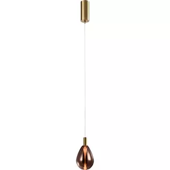 Подвесной светодиодный светильник Favourite Hopper 4256-1P