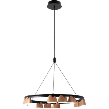 Подвесной светодиодный светильник Favourite Interline 4266-12P