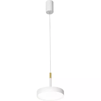 Подвесной светодиодный светильник Favourite Piller 4505-1P