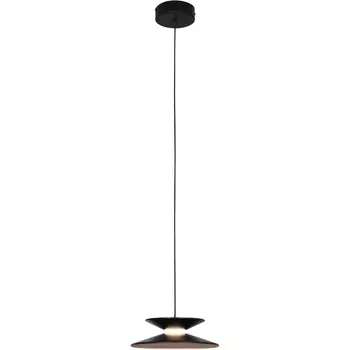 Подвесной светодиодный светильник Favourite Platt 4372-1P