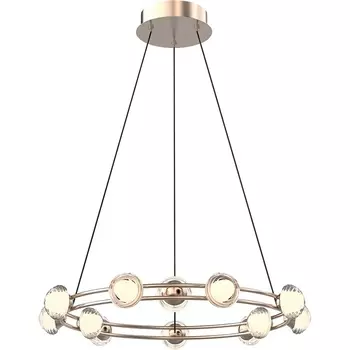 Подвесной светодиодный светильник Favourite Rondell 4382-12P