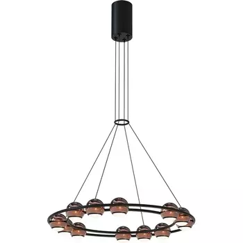 Подвесной светодиодный светильник Favourite Sturm 4561-12P шарики