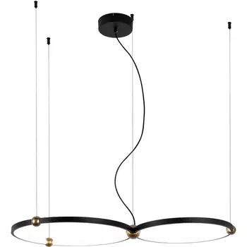 Подвесной светодиодный светильник Favourite Tornado 4569-2P кольцо