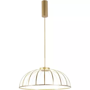 Подвесной светодиодный светильник Favourite Vertex 4286-6P