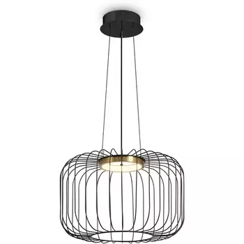 Подвесной светодиодный светильник в форме клетки Freya Citrus FR5398PL-L8B