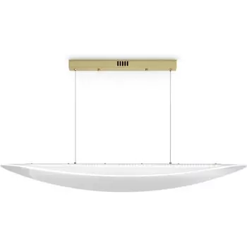 Подвесной светодиодный светильник Freya Cloud FR5441PL-L40G