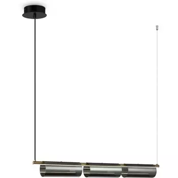 Подвесной светодиодный светильник Freya Stick FR5395PL-L12B