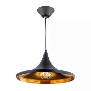 Подвесной светильник Эдисон CL450210 (Citilux)