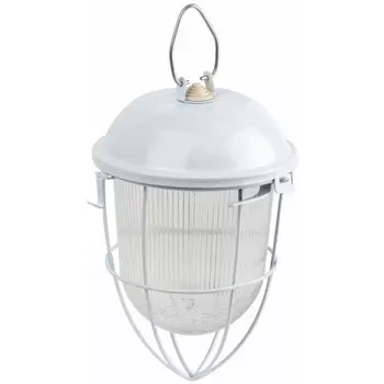 Подвесной светильник IP54 ЭРА НСП 41-200-003