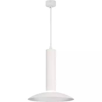 Подвесной светильник ЭРА PL14 WH