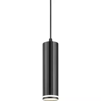 Подвесной светильник ЭРА PL19 BK