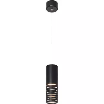 Подвесной светильник ЭРА PL22 BK