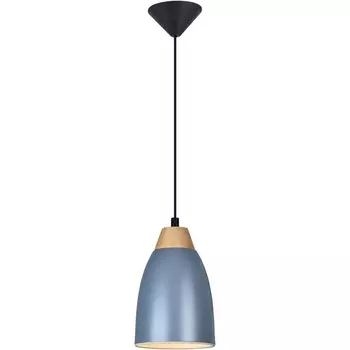 Подвесной светильник TopLight Leah TL0724H-2N