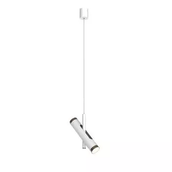 Подвесной светильник Favourite Duplex 2325-2P