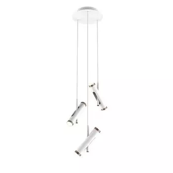 Подвесной светильник Favourite Duplex 2325-6P