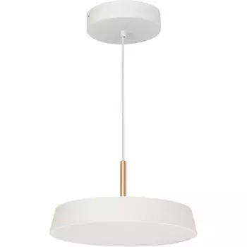 Подвесной светильник LED SP-ELEGANT-R300-17W Warm3000 (WH, 120 deg, 230V) (Arlight, IP20 Металл, 3 года) 033914