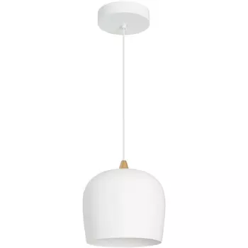 Подвесной светильник LED SP-PEONY-HANG-R250-15W Warm3000 (WH, 65 deg, 230V) (Arlight, IP20 Металл) 039548
