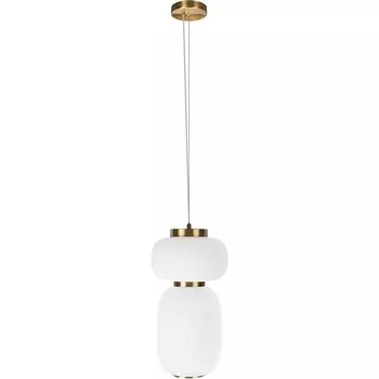 Подвесной светодиодный светильник Loft It Duff 10422/B