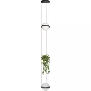 Подвесной светильник Loft It Jardin 10121/2P Dark grey