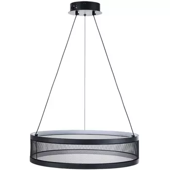 Подвесной светильник Lumion Felisiti 8103/38L черный/черный металл/металл LED 38W 3000-6000К 220V