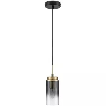 Подвесной светильник Lumion Isha 8101/1A черный/бронза металл/стекло Е14 1*40W 220V