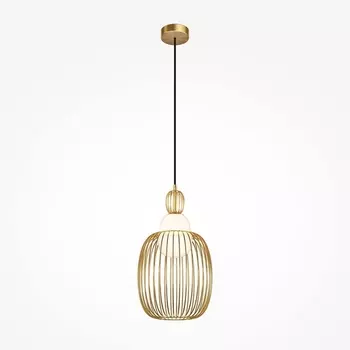 Подвесной светильник Maytoni Levitation MOD376PL-01G1