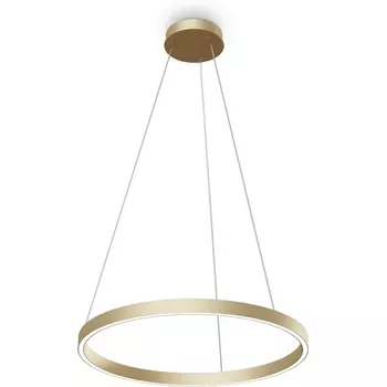 Подвесной светодиодный светильник Maytoni Rim MOD058PL-L32BSK кольцо