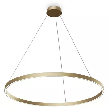 Подвесной светодиодный светильник Maytoni Rim MOD058PL-L54BSK кольцо