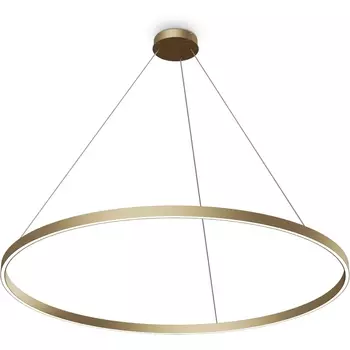 Подвесной светодиодный светильник Maytoni Rim MOD058PL-L65BSK кольцо