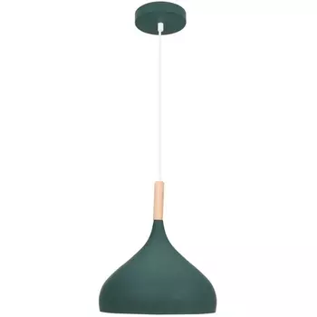 Подвесной светильник Moderli Eline V11446-1P