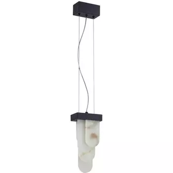 Подвесной светильник Odeon Light Foros 5438/12L черный/металл/ смола под алебастр /акрил LED 12W 3000K