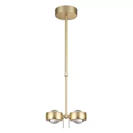 Подвесной светильник Ottico 3874/20L (Odeon Light)