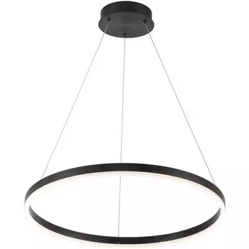 Подвесной светодиодный светильник с пультом Stilfort Planetary 4005/02/01P кольцо