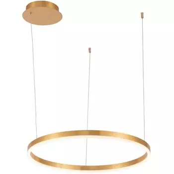 Подвесной светодиодный светильник с пультом Stilfort Planetary 4005/05/01P+CB кольцо