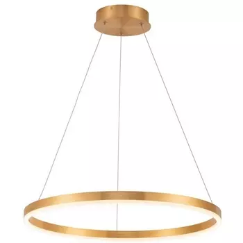 Подвесной светодиодный светильник с пультом Stilfort Planetary 4005/05/01P кольцо