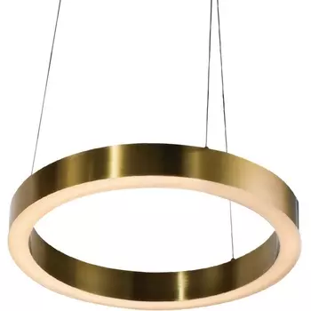 Подвесной светодиодный светильник Cloyd Raunds 10252 кольцо