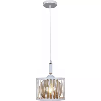 Подвесной светильник Reluce 06026-0.9-01 в форме шара