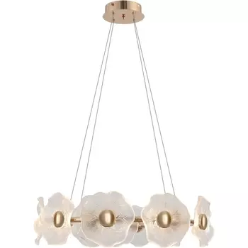 Подвесной светодиодный светильник Rivoli Shannon 6135-101 с цветами