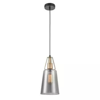 Подвесной светильник Vele Luce Roberto VL5552P21
