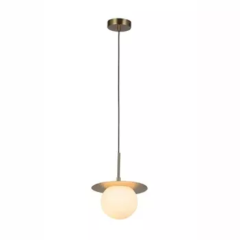 Подвесной светильник F-Promo Roshni 3050-1P в форме шара