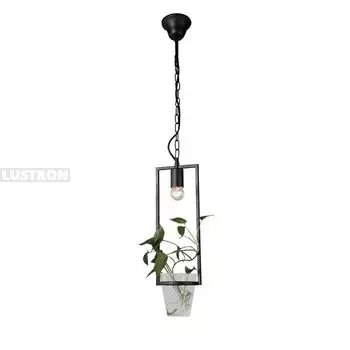 Подвесной светильник Favourite Situla 1976-1P с цветами