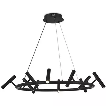 Подвесной светильник LED со спотами Aployt Honor APL.067.03.50