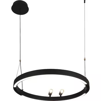 Подвесной светильник LED со спотами F-Promo Slinga 4474-1P кольцо