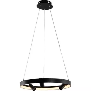 Подвесной светильник с ПДУ LED со спотами Rivoli Selena 6147-101