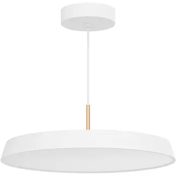 Подвесной светильник LED SP-ELEGANT-R500-37W Warm3000 (WH, 120 deg, 230V) (Arlight, IP20 Металл) 033925(1)