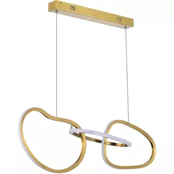 Подвесной светильник LED ST Luce Abra SL6505.203.26