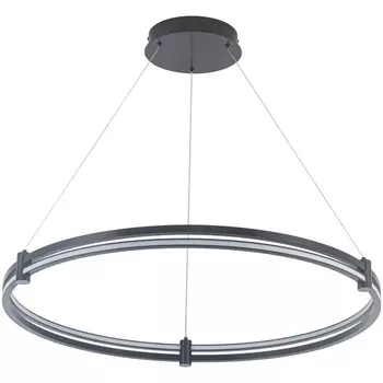 Подвесной светильник с пультом LED Stilfort Tooring 4006/02/01PL кольцо