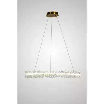 Подвесной светильник светодиодный AM Group AM455 L800 POLISHED GOLD кольцо