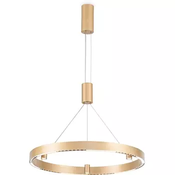 Подвесной светильник светодиодный Ambrella Comfort FL5846 кольцо