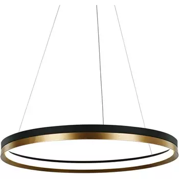 Подвесной светильник светодиодный Delight Collection MD21001010 MD21001010-1B black/br.gold кольцо DeLight Collection